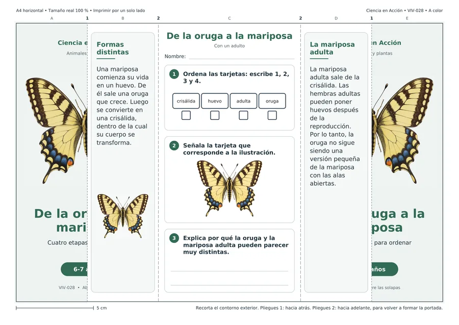 De la oruga a la mariposa, ficha desplegada, a color.