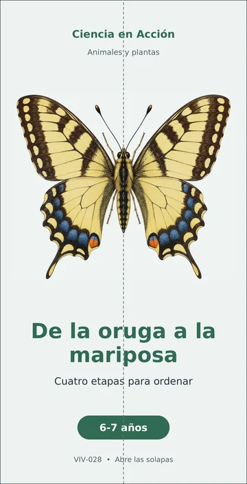 De la oruga a la mariposa, ficha doblada, a color.