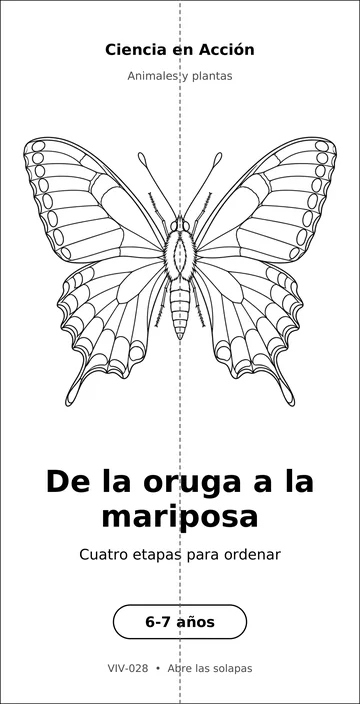 De la oruga a la mariposa, ficha doblada, para colorear.